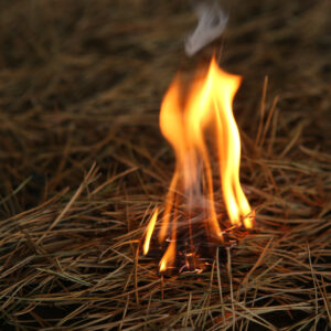Deliberate Firesetting Behaviour Course